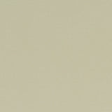 Fester Baumwollcanvas in der Farbe hemp