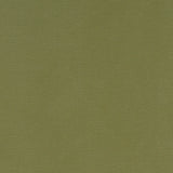 Canvas Dekostoff in der Farbe moos grün