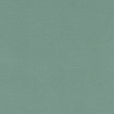 Canvas Dekostoff in der Farbe seafoam grün