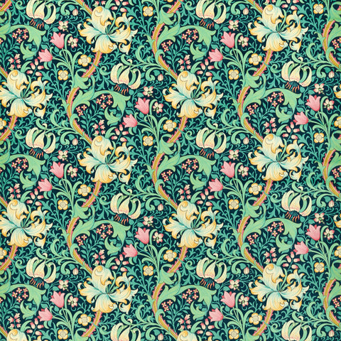 Golden Lily Velvet galactic inc