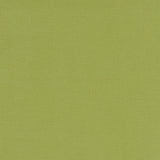 Canvas Dekostoff in der Farbe apfelgrün