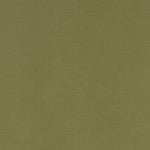Canvas Dekostoff in der Farbe moos grün