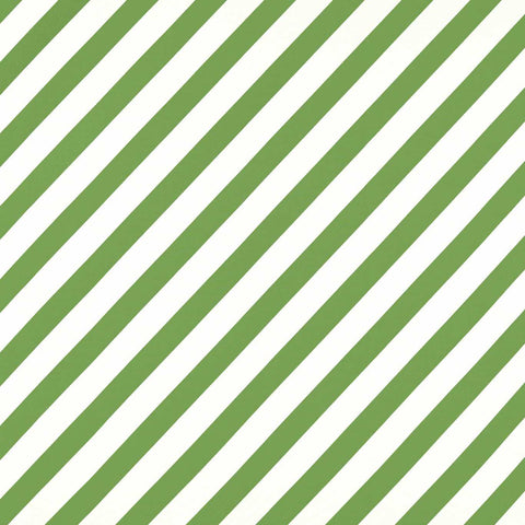 Stoff mit diagonal gewebten Streifen in grün und weiß