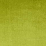 Samt in der Farbe gras grün