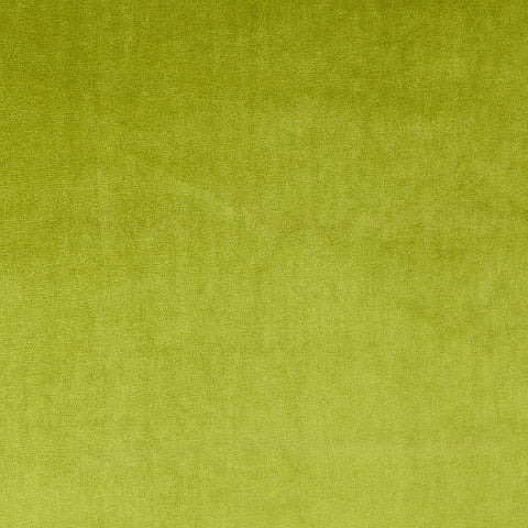 Samt in der Farbe gras grün